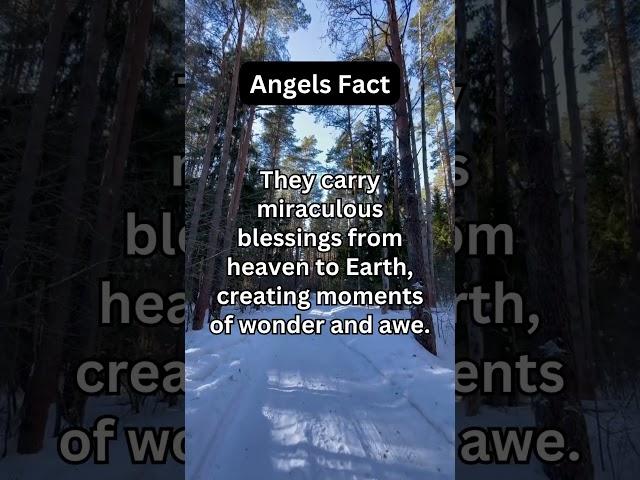 The Enigma of Angels: Surprising Revelations #Angels #Celestial #DivineMessengers