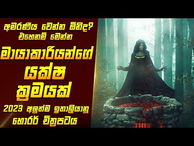 "ද වෙල්" චිත්‍රපටයේ කතාව සිංහලෙන් - Movie Review Sinhala | Home Cinema Sinhala