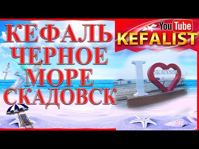 Кефаль - Чёрное море - Скадовск