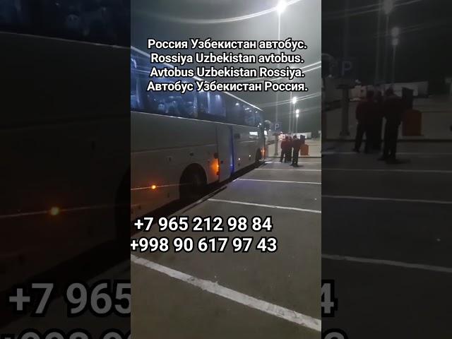 Россия Узбекистан автобус Rossiya Uzbekistan avtobus Avtobus Uzbekistan Rossiya Узбекистан Россия