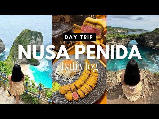 NUSA PENIDA day trip from BALI and Japanese Gyukatsu (Bali Travel Vlog)