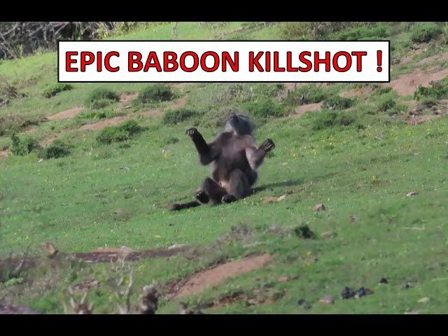 Epic Baboon Hunting !