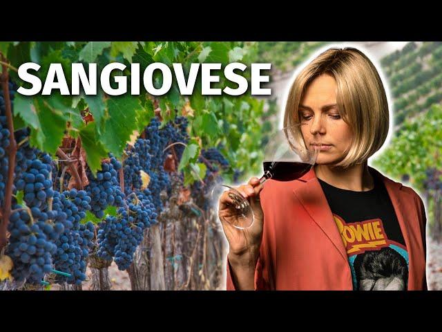 Wine Grapes 101: SANGIOVESE