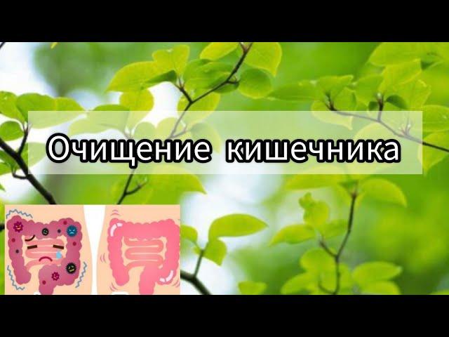 очищение кишечника