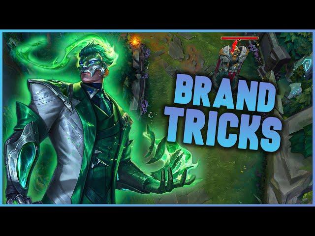 Brand Tips and Tricks | Beginner Guide