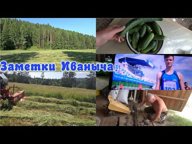 Дела огородные, начинаем сенокос!