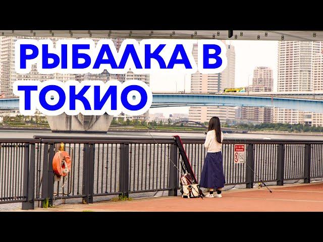 Рыбалка в Токио: Как и где рыбачат японцы?