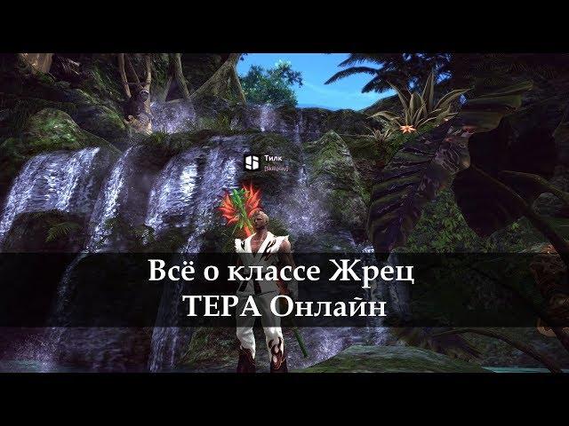 Гайд по Жрецу ТЕРА онлайн TERA Online 2017