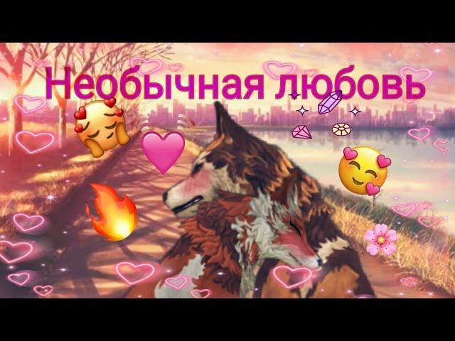 Необычная любовь 1серия {Wildcraft}