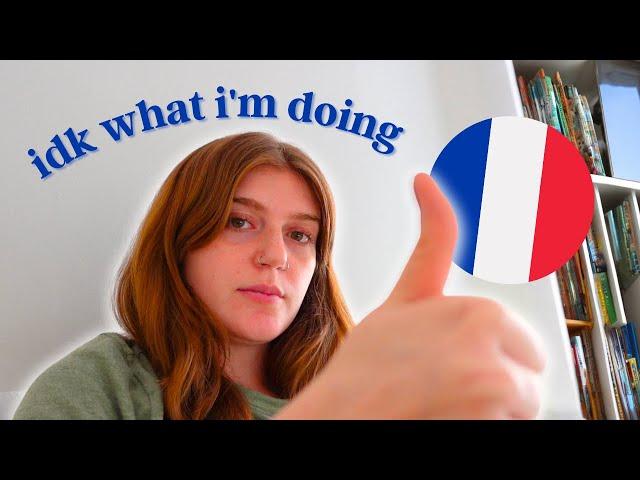 i speedran the French language in 2 months to get fluent (again)