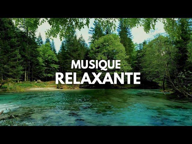 Relaxation, Musique Douce et sons de la nature, Détendez-vous - la Guitare et le Piano