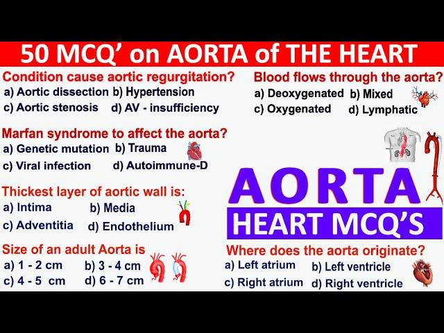 50 Mcqs on THE AORTA | Human Heart Mcqs | Cardiovascular System | Aorta Anatomy #heartmcqs