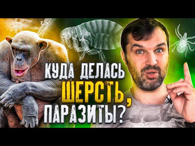 Куда делась шерсть, паразиты? | Александр Соколов | Странная обезьяна | В мире гипотез