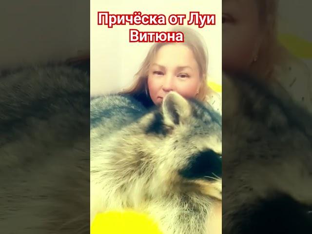 #ямыилюша #помощьбездомнымживотным #raccoon #анапа #reels #море #енотики #юмор #животные