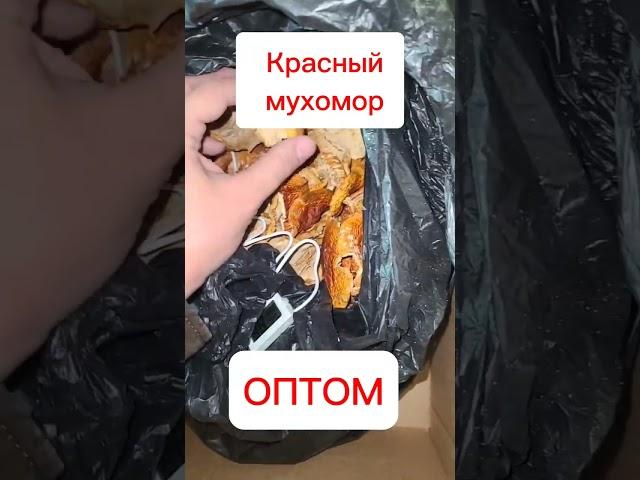 Красный #МУХОМОР #ОПТОМ #КУПИТЬ от 0,5кг #shorts