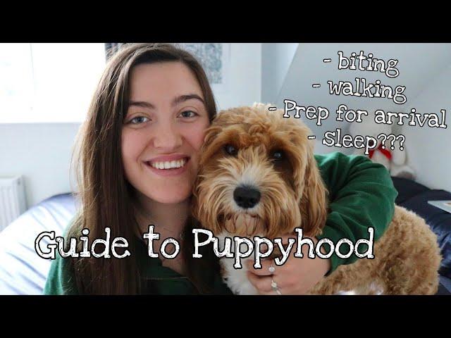 What to Expect when you're Expecting a (Cavapoo) Puppy