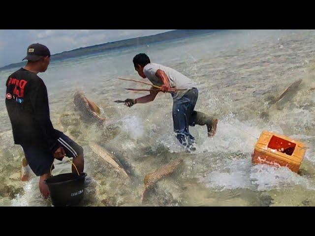 Fish & Shellfish Hunting Adventure on the Beach When the Sea Water is Low