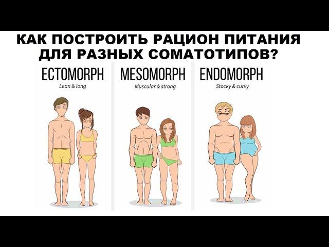 КАК ПОСТРОИТЬ РАЦИОН ПИТАНИЯ ДЛЯ РАЗНЫХ СОМАТОТИПОВ?