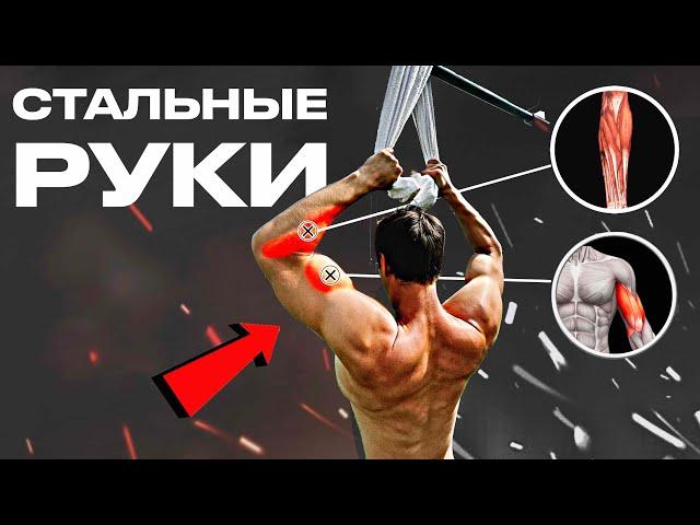 ЭТИ УПРАЖНЕНИЯ ИЗМЕНЯТ ТВОИ РУКИ. ТРЕНИРОВКА БИЦЕПСА И ПРЕДПЛЕЧИЙ!