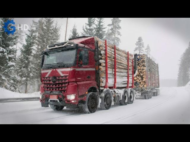 Why Are FINNISH LOGGING TRUCKS the MOST ADVANCED in the WORLD? ▶ Mercedes Benz, Scania, Volvo