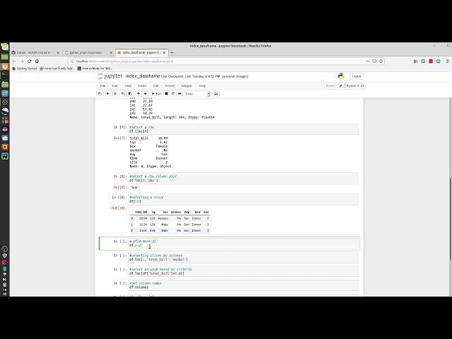 How to Index or Access Values from a Pandas DataFrame