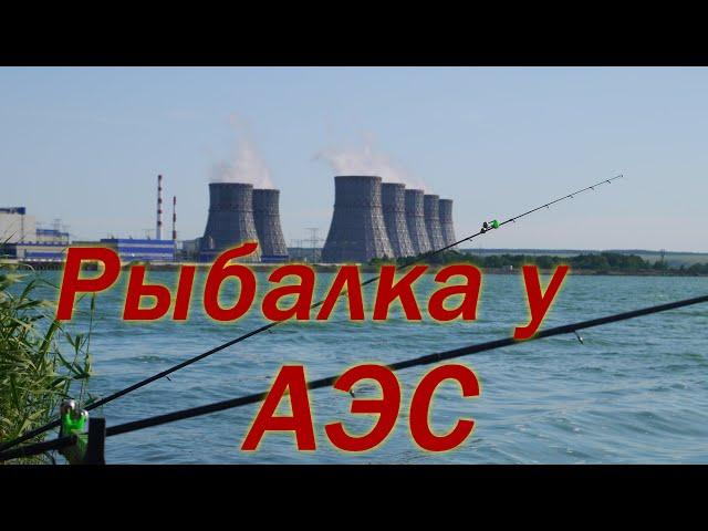 ТИЛАПИЯ НА ФИДЕР У АТОМНОЙ СТАНЦИИ. Рыбалка в Воронежской области. Нововоронежский пруд охладитель.