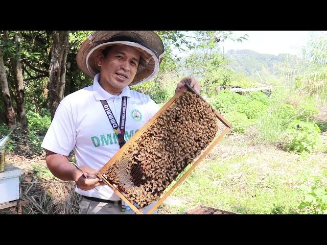 Overview of the Online Basic Beekeeping Training