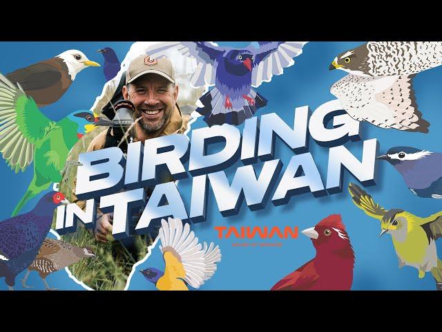 Birding in Taiwan - Epic Birding Adventure from Forest Peaks to Coastal Wetlands