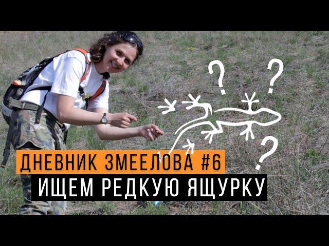 В поисках РЕДКОЙ ящурки -  Дневник змеелова #6 / Змеелов - ученый