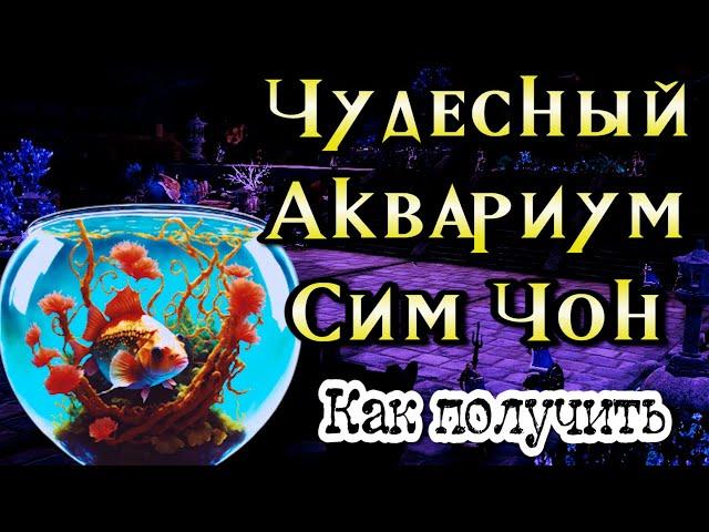 Чудесный аквариум Сим Чон цепочка квестов Black Desert Online