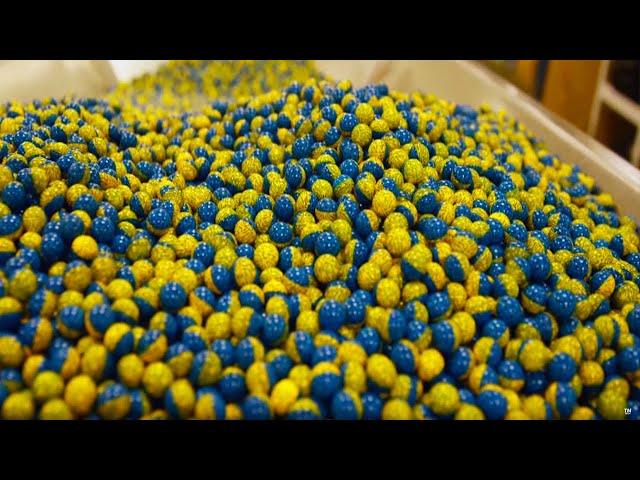 How Millions Of Paintballs Are Made Every Day - Modern Day Factory - Cutting Edge Technology
