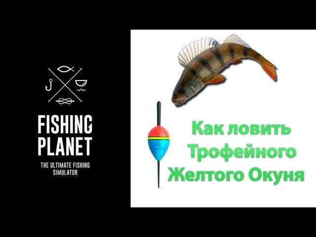 Как ловить Трофейного Желтого Окуня Fishing Planet (поплавок) | Фишинг Пленет окунь, краппи