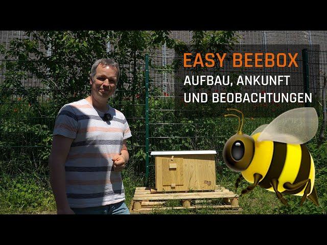 easy BeeBox - ein Bienenvolk zieht bei uns ein