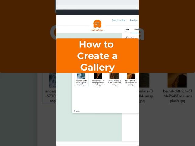 How to Automatically Create an Image Gallery in WordPress