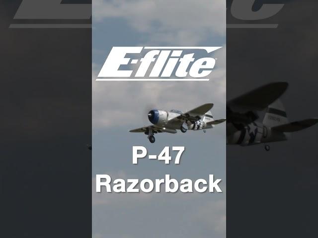 The E-flite P-47 Razorback 1.2m is the Smartest and easiest-to-fly replica of the Jug yet! #p47