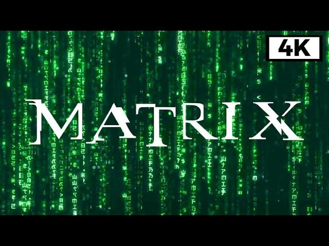 Matrix Rain Code - Longest Baсkground Video 4K