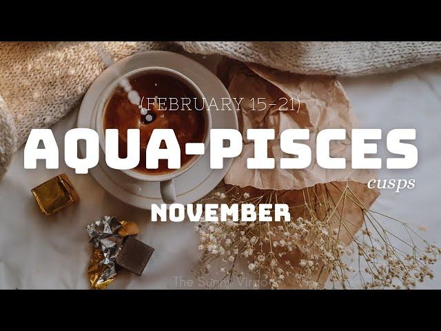 AQUARIUS PISCES CUSP  Break Free Towards The New  NOVEMBER 2024 Love & Career Tarot Reading