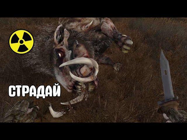 ХАРДКОРНЫЙ МОД НА STALKER. Pain of Misery.