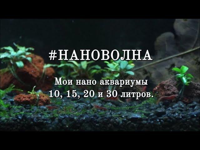 #НАНОВОЛНА Мои нано аквариумы 10, 15, 20 и 30 литров.