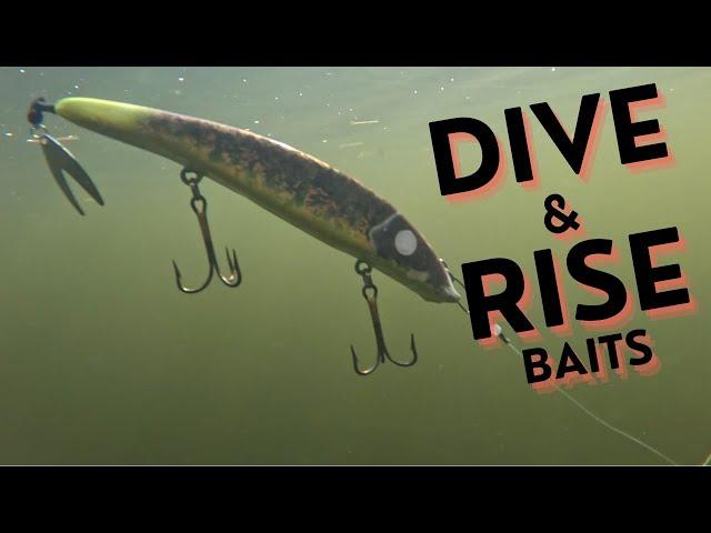 DIVE & RISE BAITS - HOW TO RUN AND TUNE WITH RICH AND FISCHER