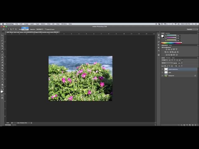 Photoshop Tutorial: Patch and Content-Aware Move tools