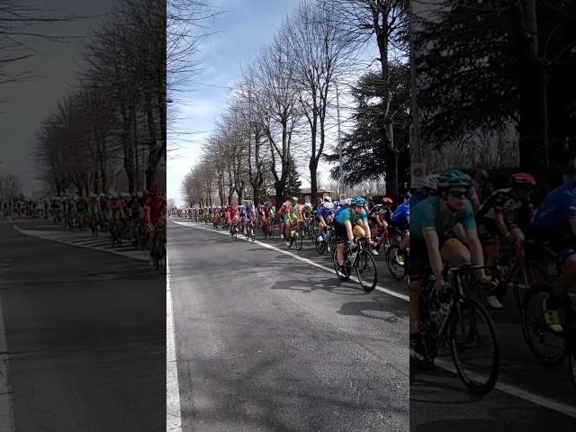 MILANO - SANREMO..2017