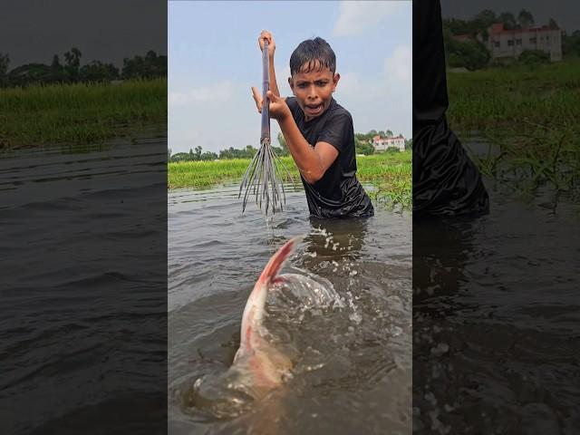 Village fishing video | (part_16) #bigcatfish #fish #fishing #amazingfish #bigfish #shorts #ytshorts