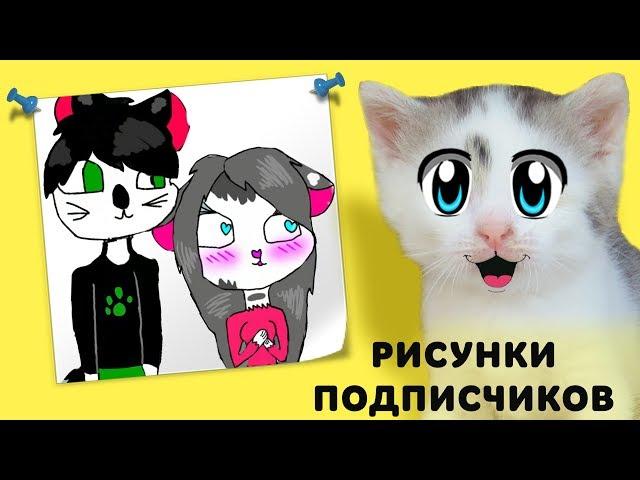 КОШКА МУРКА и РИСУНКИ ОТ ПОДПИСЧИКОВ!