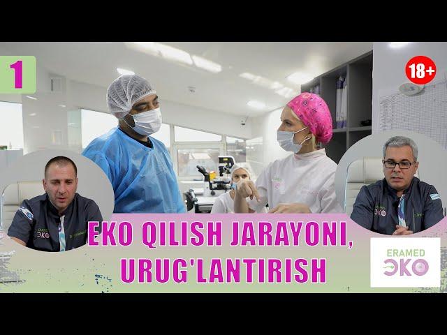 Eko qilish jarayoni, urug'lantirish | Эко килиш жараени, уруглантириш 1-кисм 2024 #eco #eramedeco