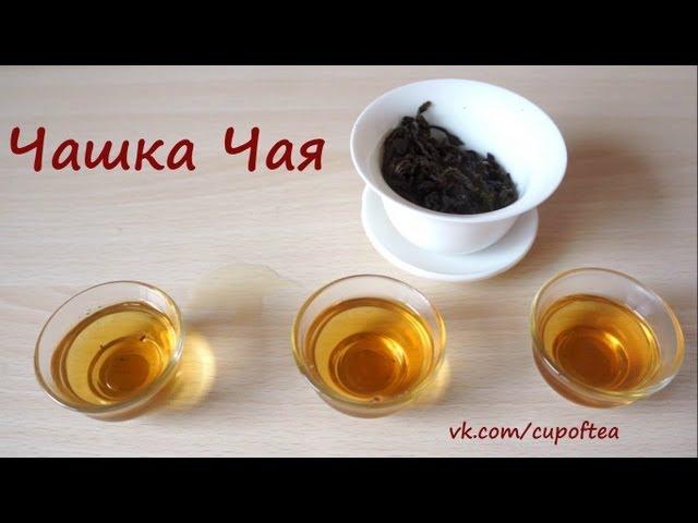 Чашка Чая: секреты Да Хун Пао