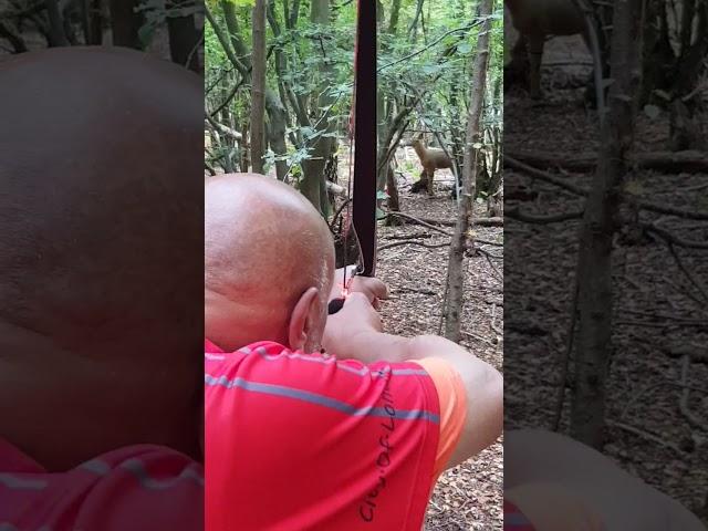 Rinehart 3d Spike Deer Target - Traditional Triangle Hybrid Longbow.
