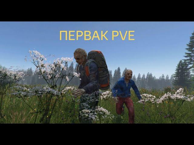 DAYZ | ПЕРВАК PVE | НОВОЕ НАЧАЛО | ЛЕТНИЙ СЕЗОН 8 СЕРИЯ | АТМОСФЕРА ВЫЖИВАНИЯ В СОЛО!