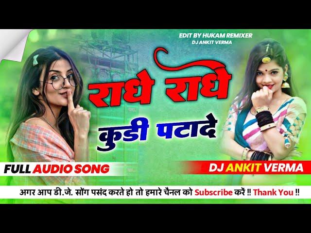 Radhe Radhe Kudi Patade Meenawati Remix Song ! Harisingh Dholan Meenawati Song 2024 ! Dj Ankit Verma