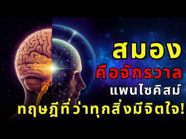 จักรวาลคือสมองขนาดยักษ์? | แพนไซคิสม์: ทฤษฎีที่ว่าทุกสิ่งมีจิตใจ! | ThaiWikiHow